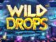 wild drops slot