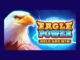 Eagle Power Hold and Win slot game