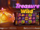 Treasure Wild slot game