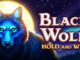 Black Wolf Hold and Win slot